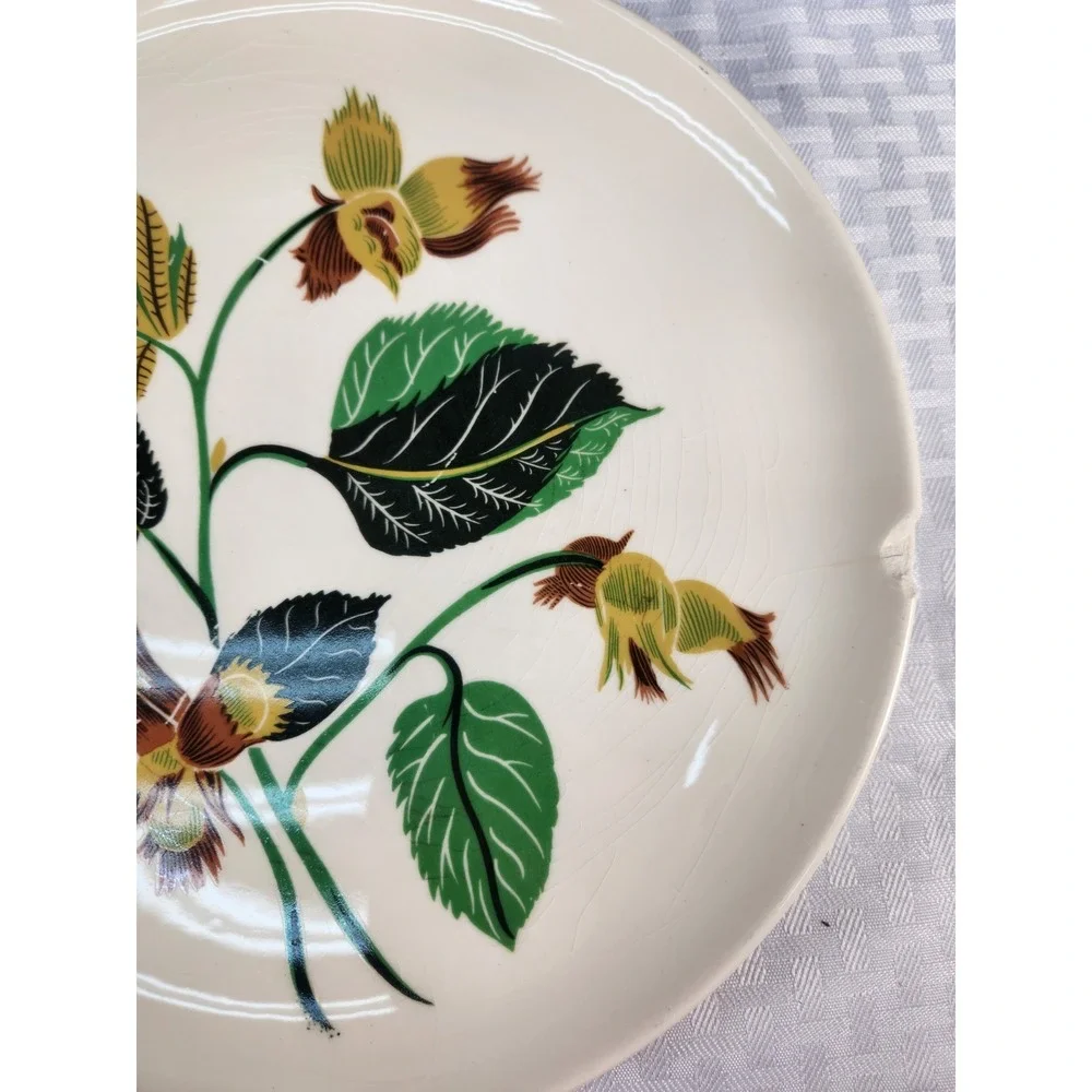 Ballerina China Hazelnut Potteries Leaves & Nuts Set of 8 Dinner Plates